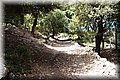 P6101926.JPG