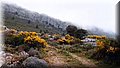 P6101931.JPG