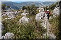 P6101938.JPG