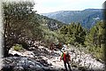 P6101965.JPG