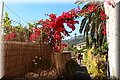 P6102006.JPG