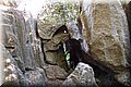 P6132015.JPG