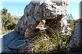 P6132024.JPG