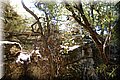P6132035.JPG