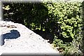 P6132036.JPG