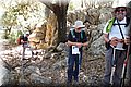 P6132041.JPG