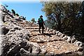 P6132051.JPG