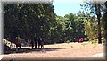 P6132056.JPG