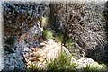 P6132081.JPG