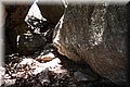 P6132086.JPG