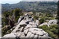 P6132090.JPG