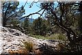 P6132097.JPG