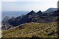 P6172148.JPG