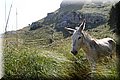 P6172159.JPG