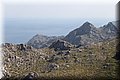 P6172164.JPG
