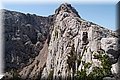 P6172203.JPG