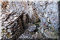 P6172250.JPG