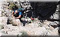 P6172253.JPG