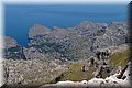 P6172282.JPG