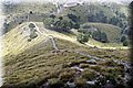 P6202460.JPG