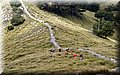 P6202463.JPG