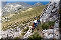 P6202468.JPG