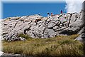 P6202547.JPG
