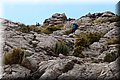 P6202561.JPG