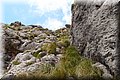 P6202563.JPG