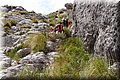 P6202568.JPG