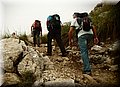 P6242630.JPG
