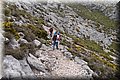 P6242638.JPG