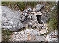 P6242642.JPG