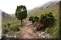 P6242653.JPG