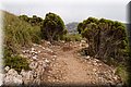 P6242654.JPG