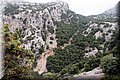 P6242658.JPG