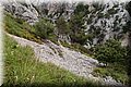 P6242659.JPG