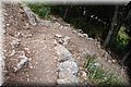 P6242663.JPG