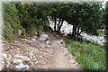 P6242665.JPG