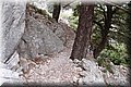 P6242670.JPG
