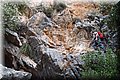 P6242683.JPG