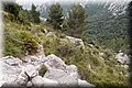 P6242692.JPG