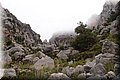 P6242693.JPG