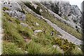 P6242698.JPG