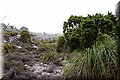 P6242727.JPG