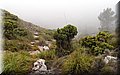 P6242729.JPG