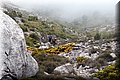 P6242735.JPG