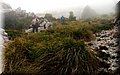 P6242746.JPG