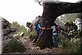 P6242754.JPG