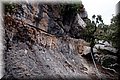 P6242767.JPG